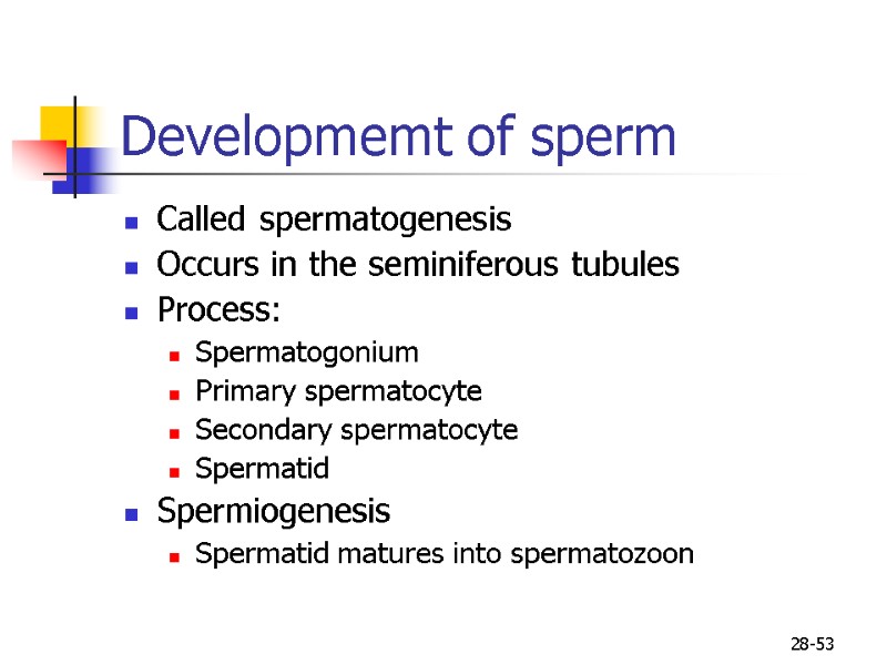 28-53 Developmemt of sperm Called spermatogenesis Occurs in the seminiferous tubules Process: Spermatogonium Primary